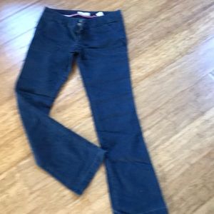 Hollister navy blue pants